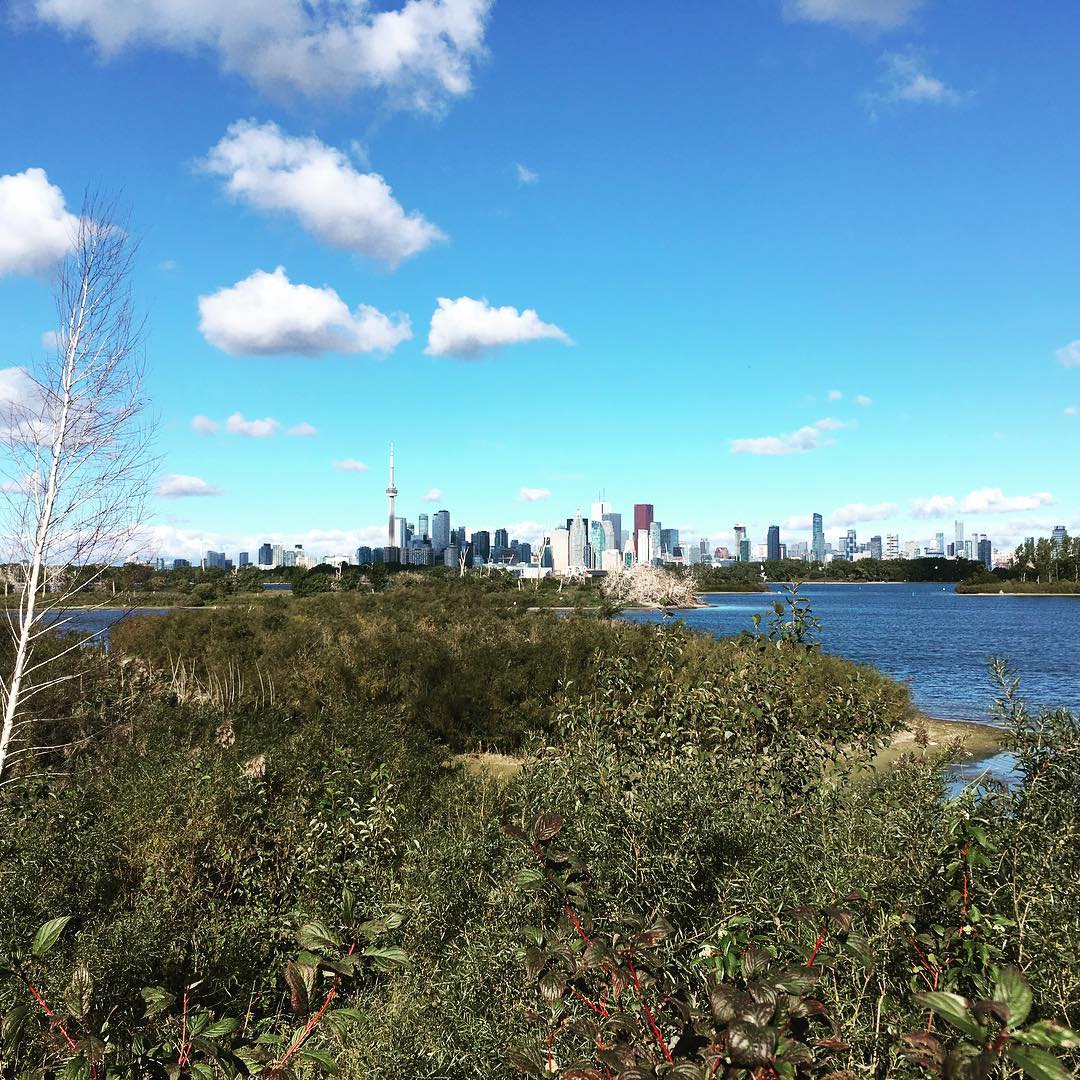 42790956_10160281777543682_6839818311748812800_o